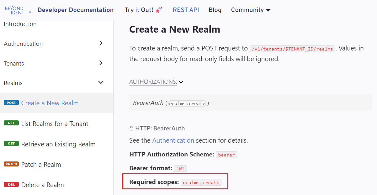API Create Realm Required Scopes